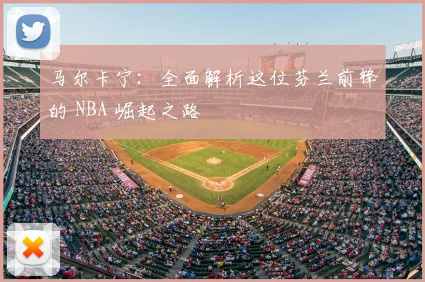 马尔卡宁：全面解析这位芬兰前锋的 NBA 崛起之路
